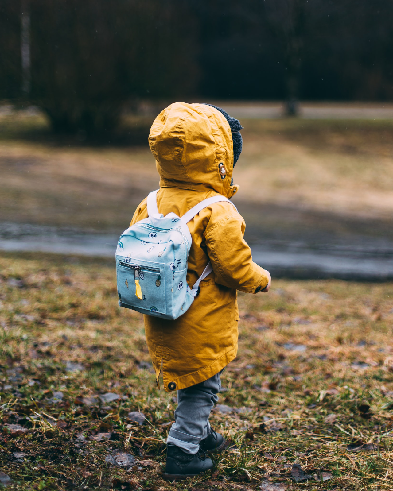 Essential Tips for Camping With Toddlers: A Guide for Parents