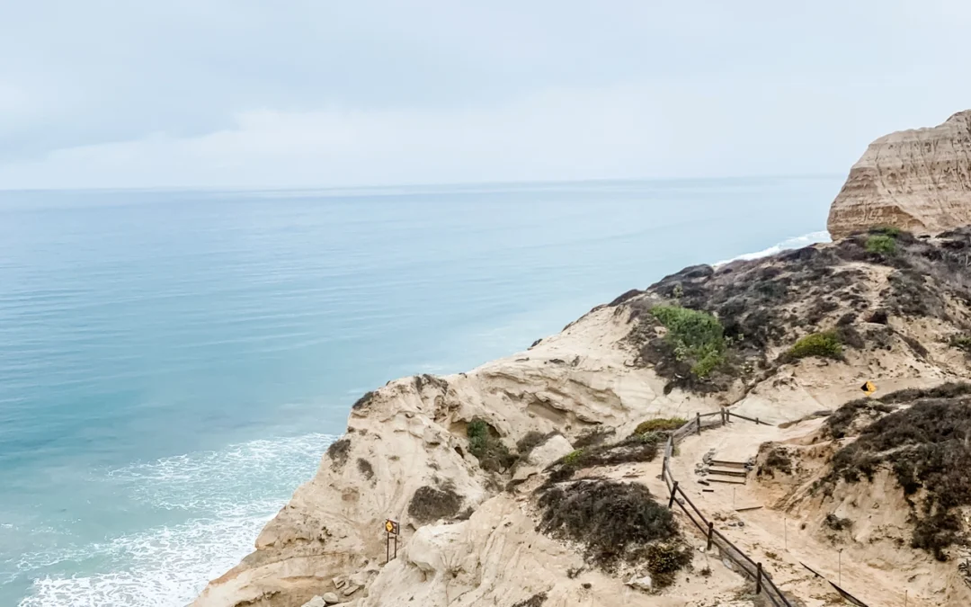 Exploring the Natural Beauty of Torrey Pines in La Jolla: A Hiker’s Guide