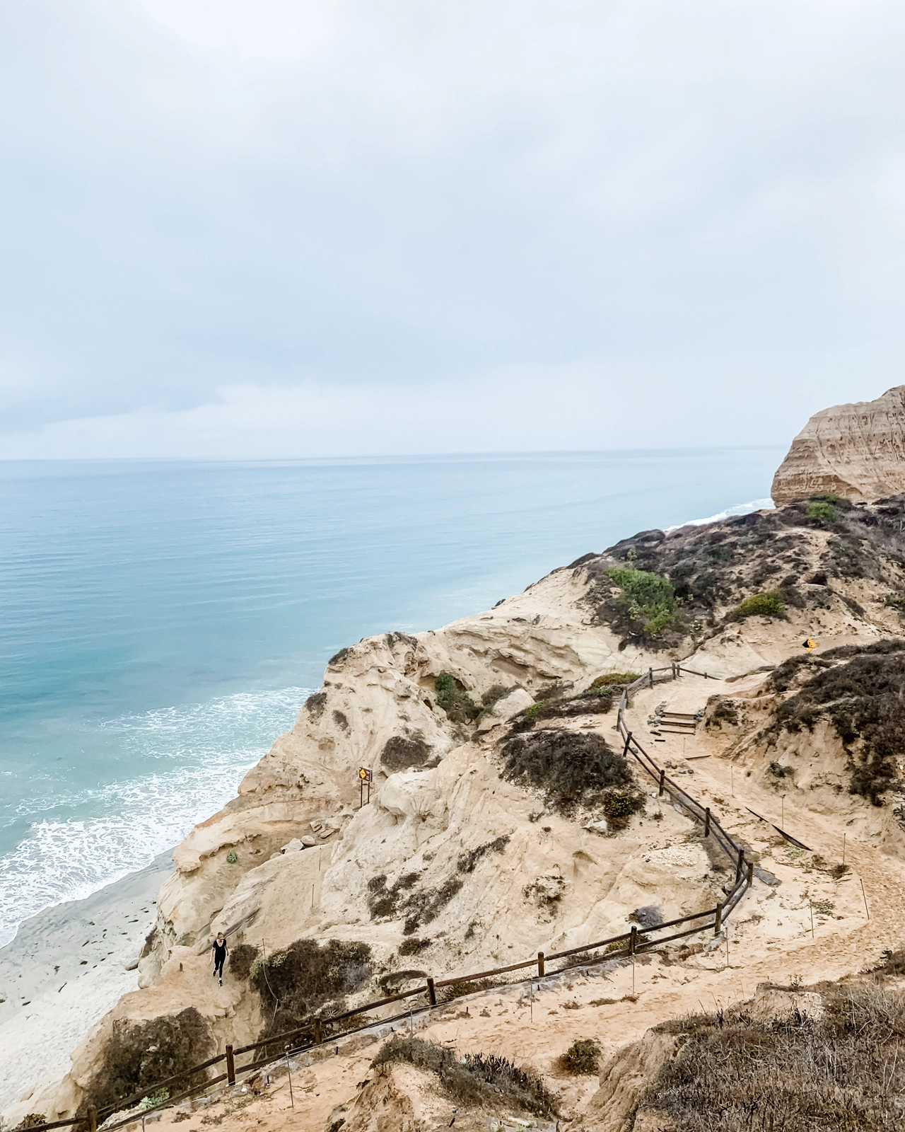 Exploring the Natural Beauty of Torrey Pines in La Jolla: A Hiker’s Guide