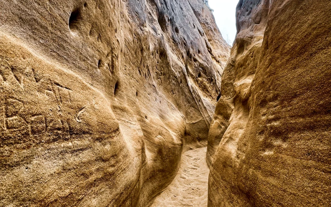 Exploring Annie’s Canyon Trail: A Family Adventure in Nature