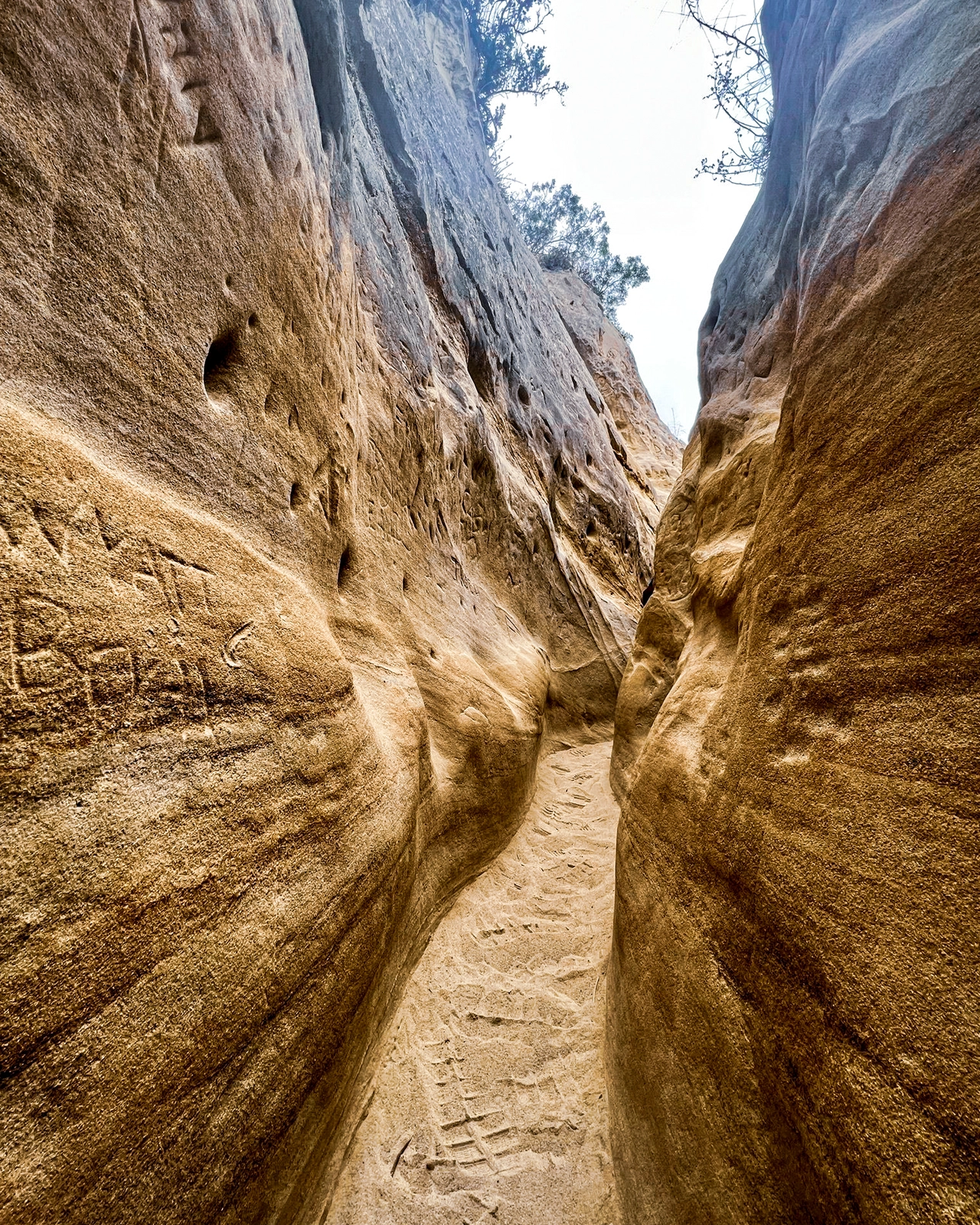 Exploring Annie’s Canyon Trail: A Family Adventure in Nature