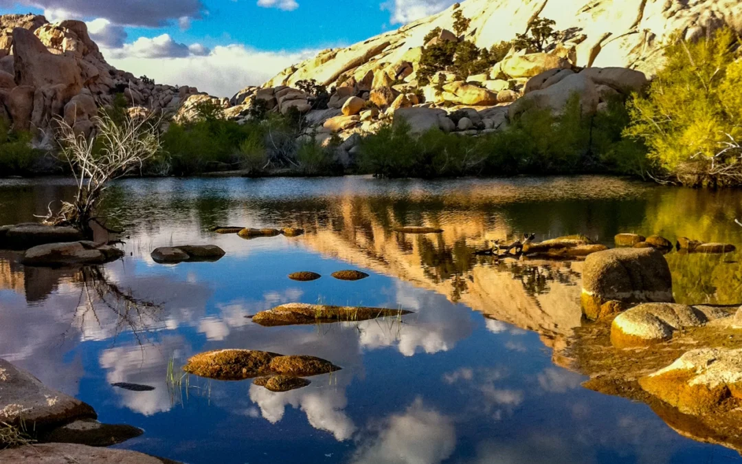 Hiking the Barker Dam Nature Trail with Kids: A Perfect Family Adventure