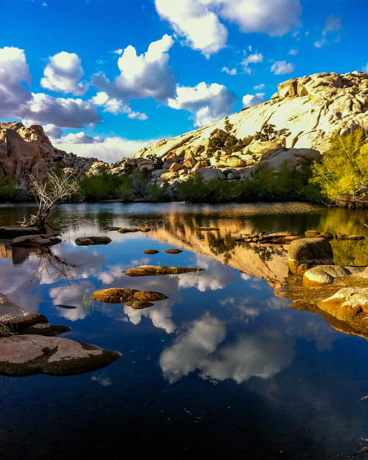 Hiking the Barker Dam Nature Trail with Kids: A Perfect Family Adventure